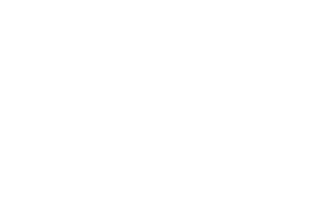 Generals Online Logo White